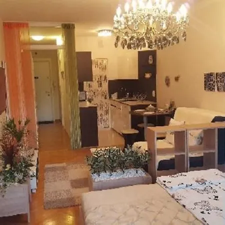 Apartma D&m Apartment, Walk To Downtown Centre Ljubljana